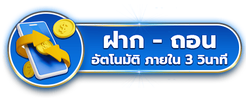 ฝากถอน 3 วินาที by spin99